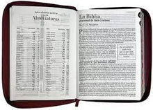 Load image into Gallery viewer, Biblia Reina Valera 1960, tamaño Gigante (170x235 mm), Letra Gigante 15 puntos. Imitación Piel marrón. Con cierre y con índice. Colección Tradicional.
