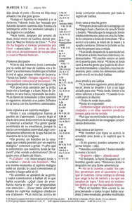 Referencia ultrafina NTV SentiPiel Café rústico, NTV Slimline Center Column Reference Bible, Leatherlike Rustic Brown TYNDALE HOUSE / 2013 / IMITATION LEATHER