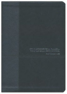 NLT Personal-Size Life Recovery Bible, Second Edition--soft leather-look, black/onyx By: Stephen Arterburn, David Stoop TYNDALE HOUSE