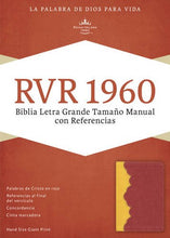 Load image into Gallery viewer, Biblia RVR60 Letra Grande Manual Referencias ambar/rojo by Holman

