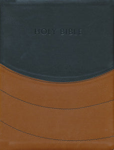 NIV Ministry Essentials Bible, Flexisoft, Black/Brown HENDRICKSON PUBLISHERS / 2014 / IMITATION LEATHER