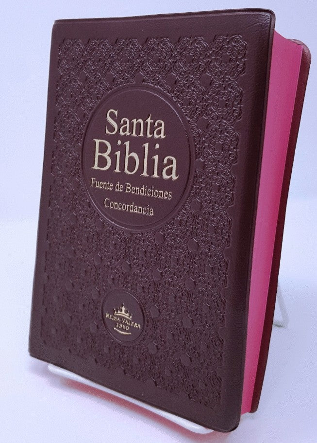 Santa Bíblia Con Concordancia y Fuente de Bendiciones (vino) by American Bible