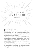 Load image into Gallery viewer, The Advent of the Lamb of God By: Russ Ramsey More in RTS-Retelling the Story Series INTERVARSITY PRESS
