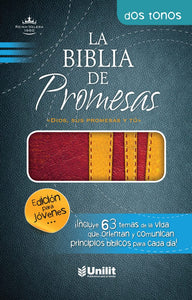Biblia de promsas (rojo y dorado), Promise Bible for Young Men, Imitation Leather (red & gold) EDITORIAL UNILIT / 2012 / IMITATION LEATHER