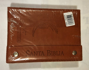 Santa Bíblia Letra Mediana y Fuente de Bendiciones de Sociedad Biblica Brazil