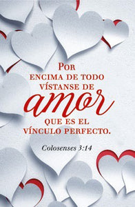 Plaqué Cerámica Amor Col. 3:14 by Luciano's Gifts